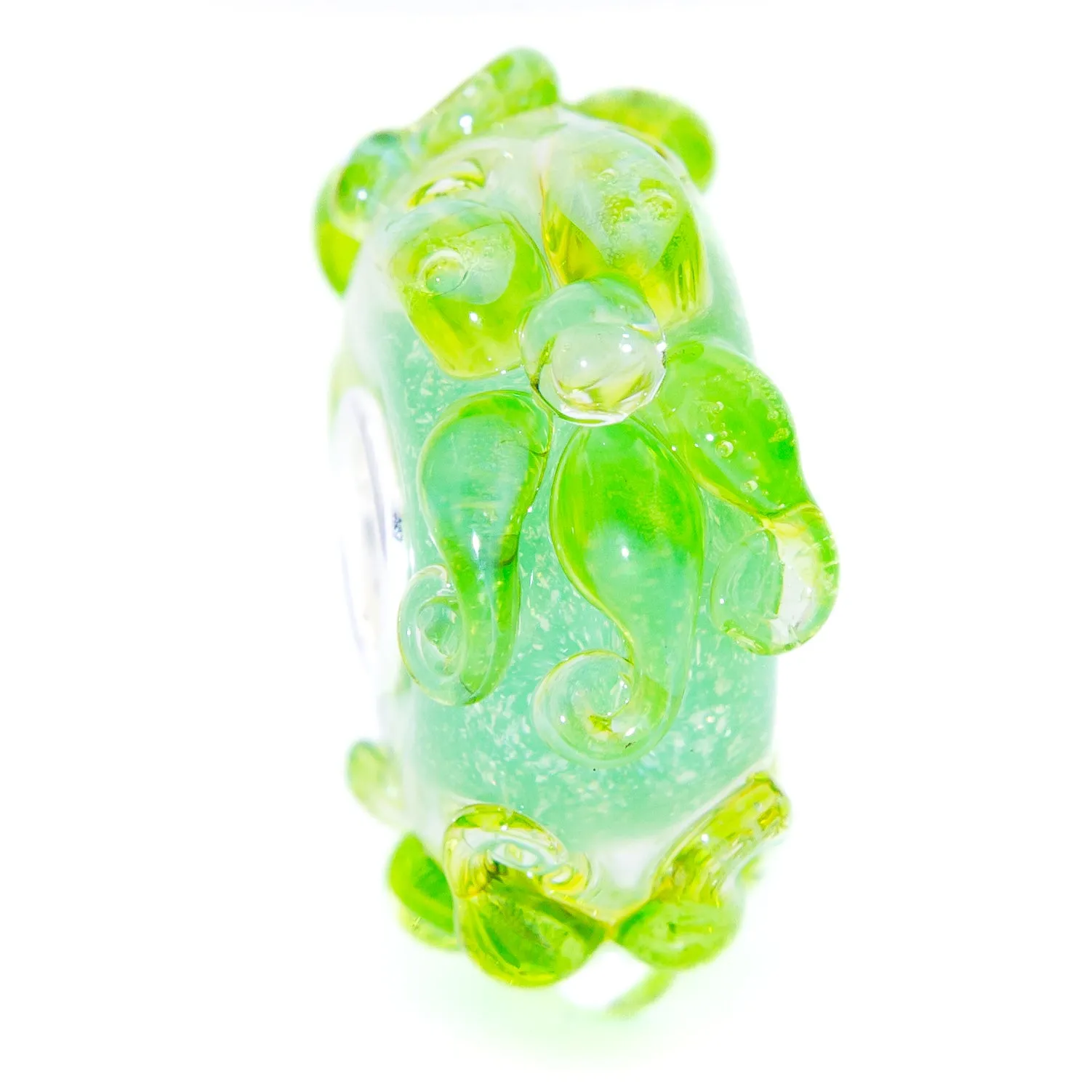 Fresh Green Edelweiss
