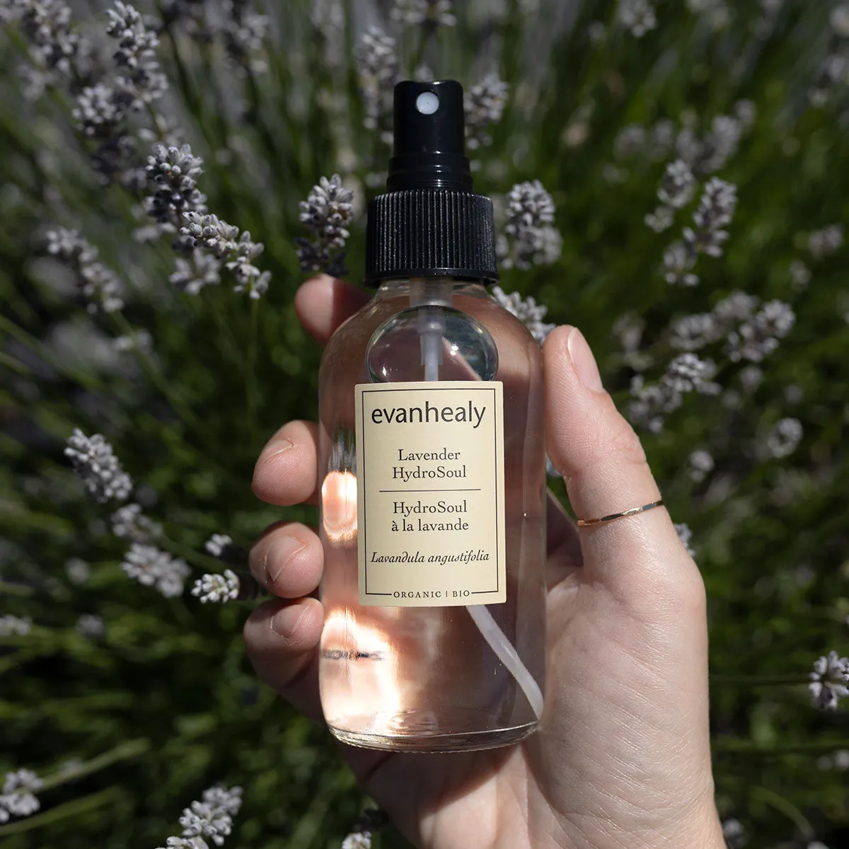 Lavender HydroSoul