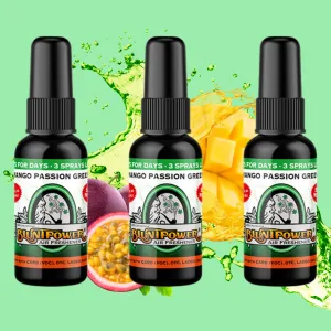 Mango Passion Green Air Freshener Bundle (3 Pack)