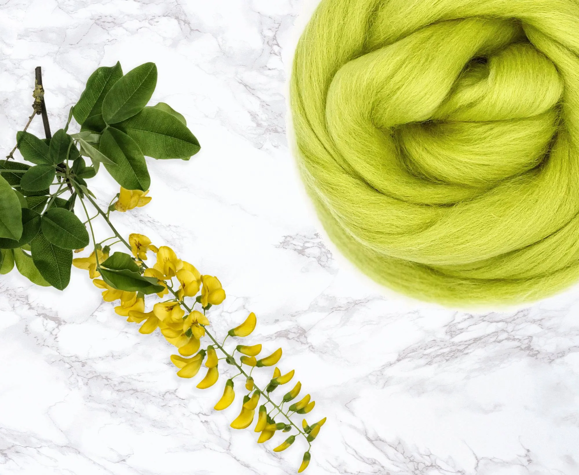 Merino Laburnum