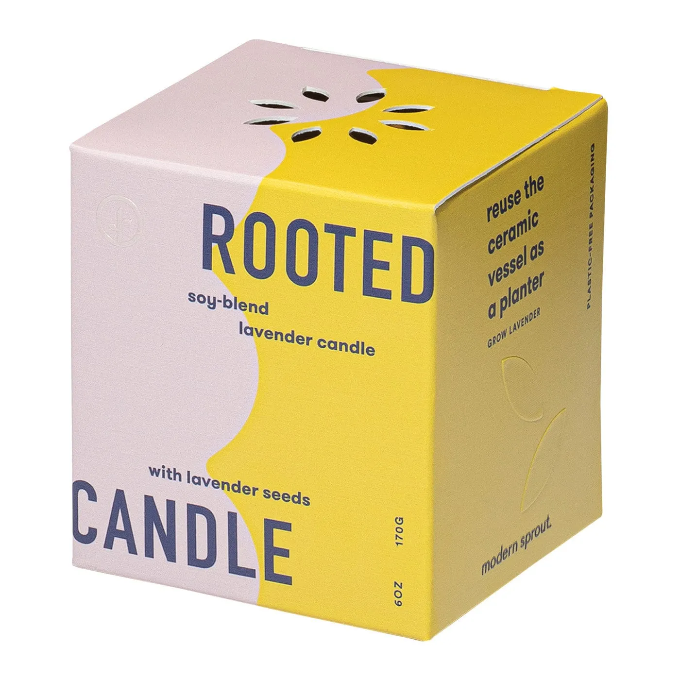 Modern Sprout - Rooted Candle