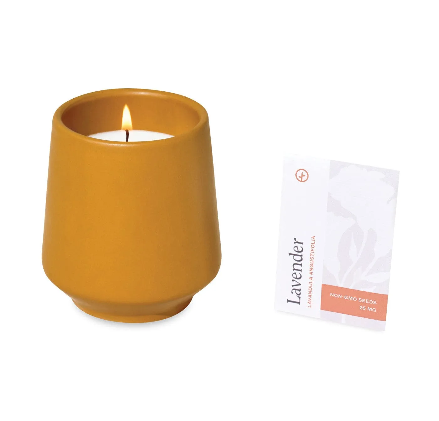 Modern Sprout - Rooted Candle