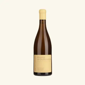 Pierre-Yves Colin-Morey- Bourgogne Hautes Cotes de Beaune 2019